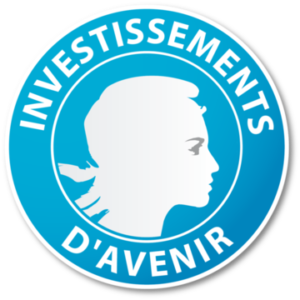 Investissmeents-d-avenir_large